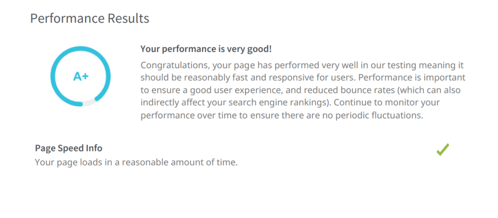 SEO performance audit score